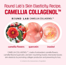 Load image into Gallery viewer, ROUND LAB Camellia Deep Collagen Firming Ampoule
