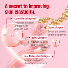 Load image into Gallery viewer, ROUND LAB Camellia Deep Collagen Firming Ampoule
